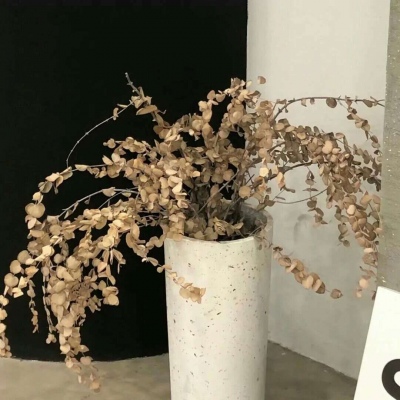 武进福瑞交流群